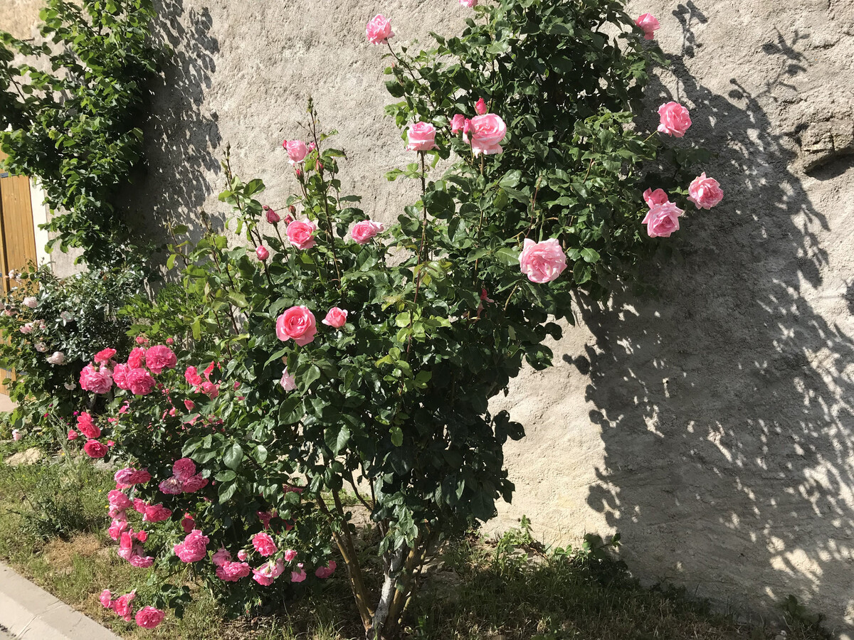 Gîte 6 personnes rénové avec jardin, accès Vosges et loisirs - Photo 20