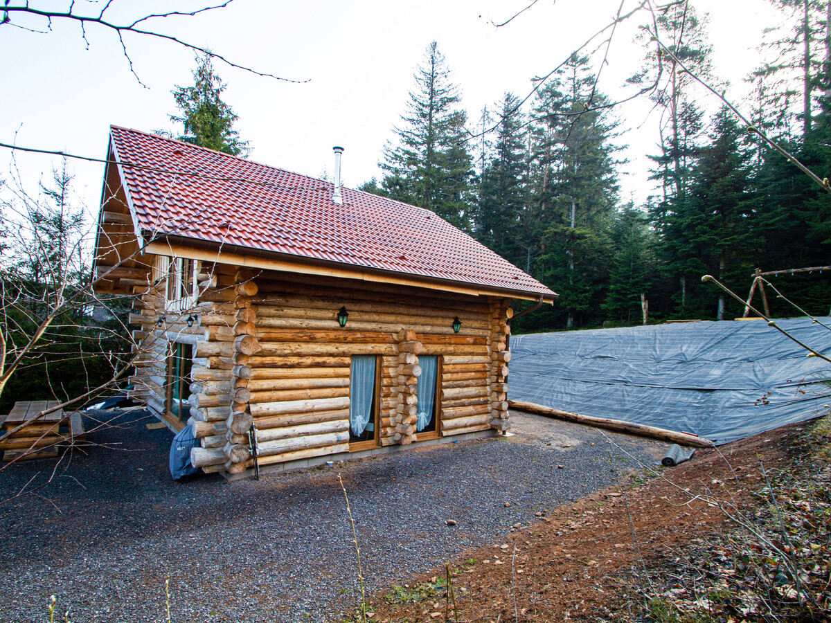 Gîte Fuste 6 Pers, 800 m d'Altitude, Proche Gérardmer - Photo 7