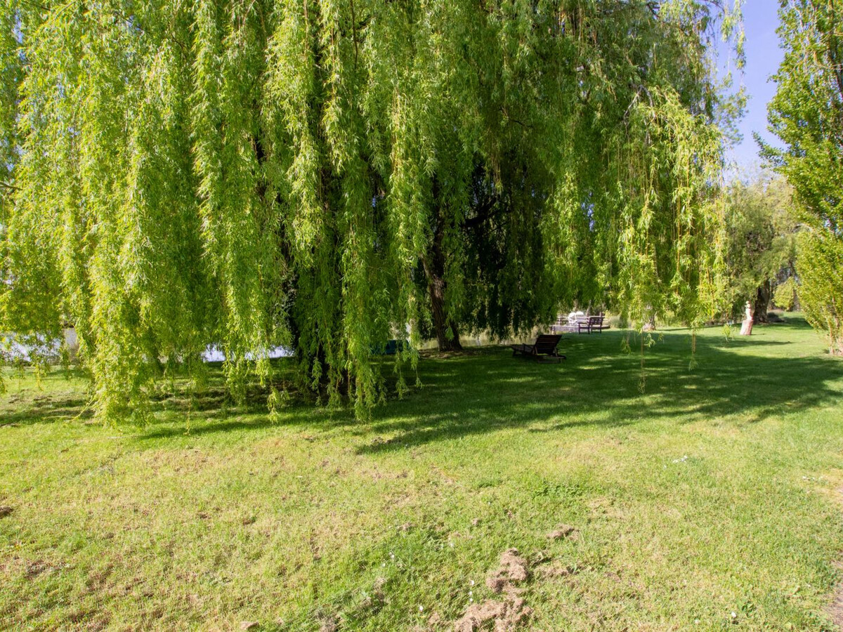 Gîte 2 pers. avec piscine au sel et étang privé à Naussannes - Photo 19
