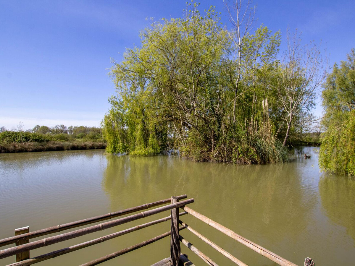Gîte 2 pers. avec piscine au sel et étang privé à Naussannes - Photo 22