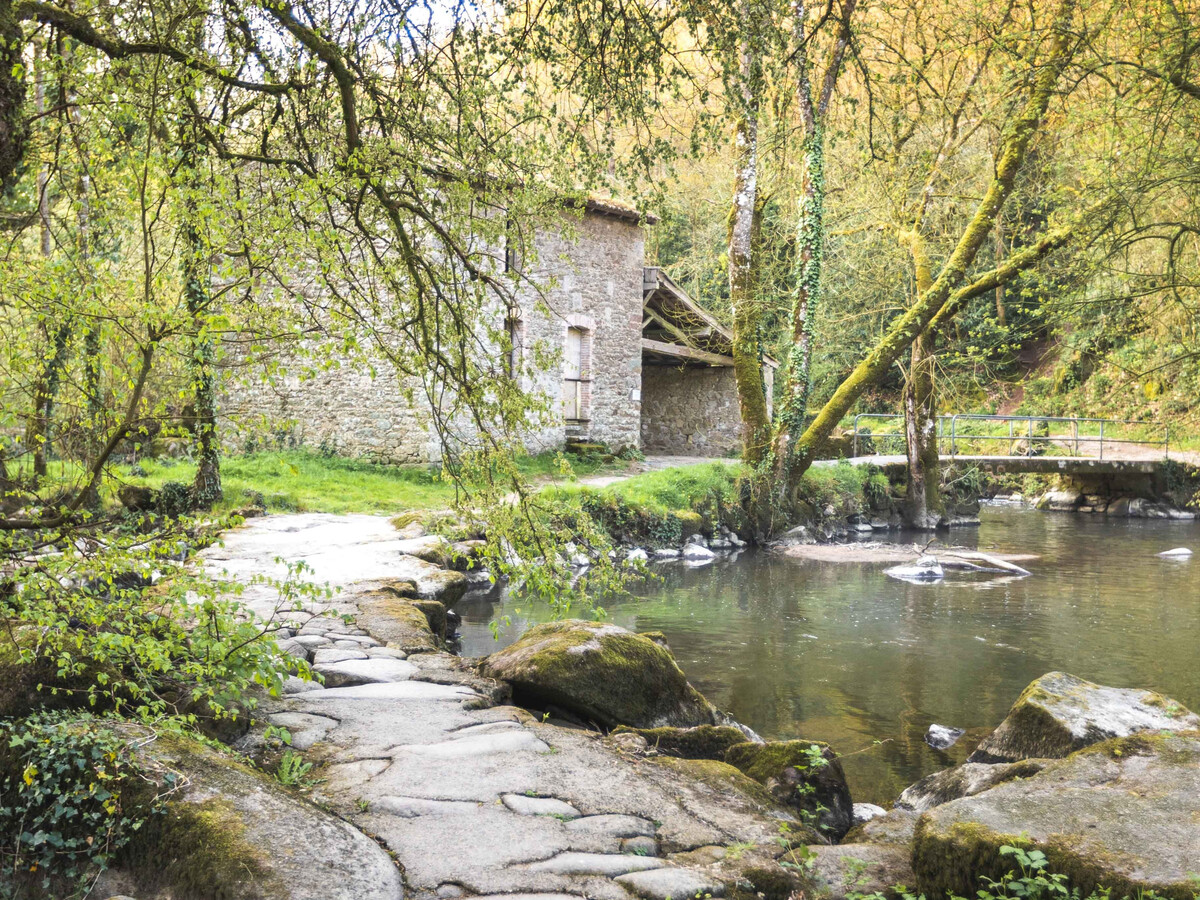 Studio rénové en bord de Sèvre à Mortagne - Photo 17