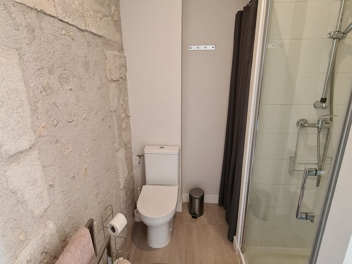 Gîte 5 chambres restauré, pieds de Loire à Beaulieu - Photo 16