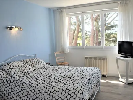 Maison rénovée 5 pièces à 5 min de la plage, Ploemeur : photo 10