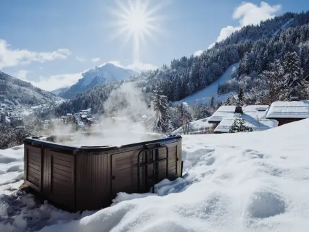 Chalet FAMILYLODGE 5★, 12 pers, spa extérieur, 300 m pistes : photo 3