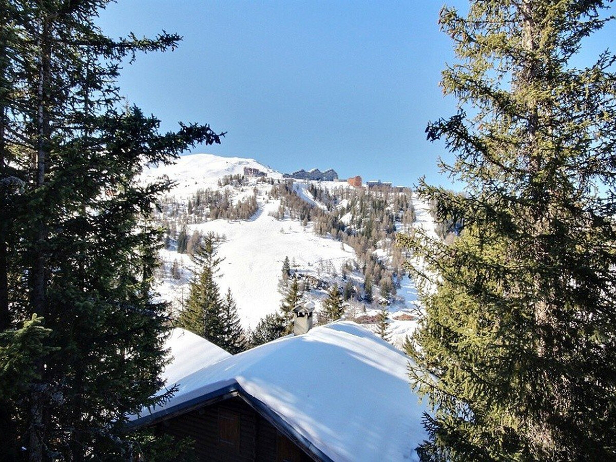 Chalet Annika 15 pers., sauna & jacuzzi à La Plagne - Photo 28