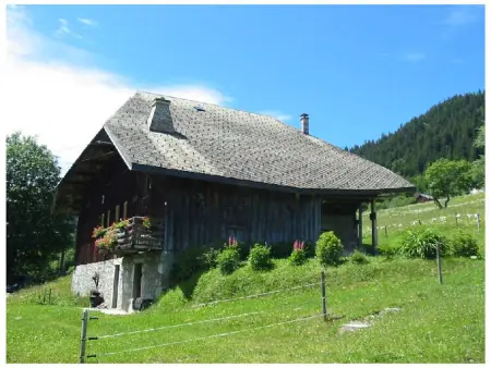 Chalet Savoyard en Bordure des Pistes avec Liaison Facile vers le Centre de Morzine - Photo 16
