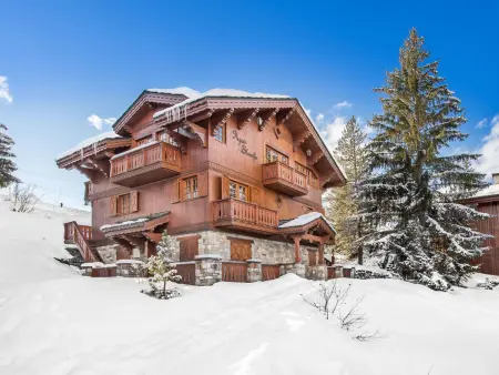 Chalet savoyard de charme, 12 pers, sauna, accès piste, Moriond : photo 15