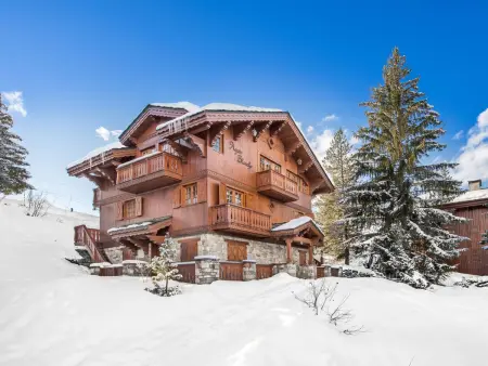 Chalet savoyard de charme, 12 pers, sauna, accès piste, Moriond : photo 16