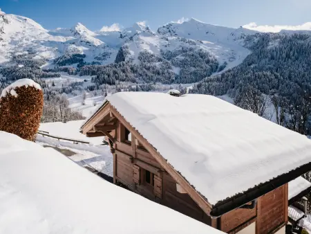 Chalet 4★, 14 pers, hammam, près pistes, terrasse sud - Photo 23