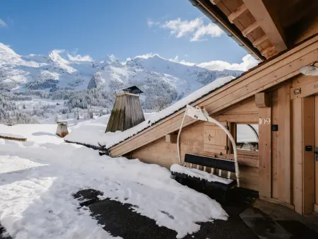 Chalet 4★, 14 pers, hammam, près pistes, terrasse sud - Photo 24