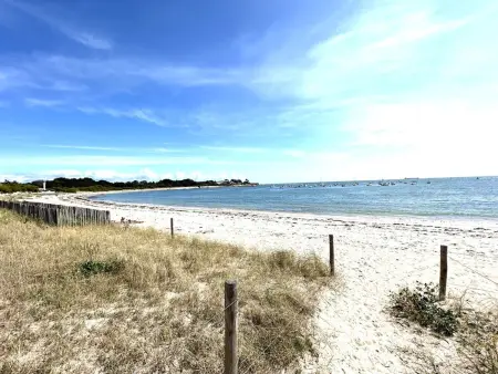 Maison 6 pers. plage direct à Ploemeur, vue mer : photo 29