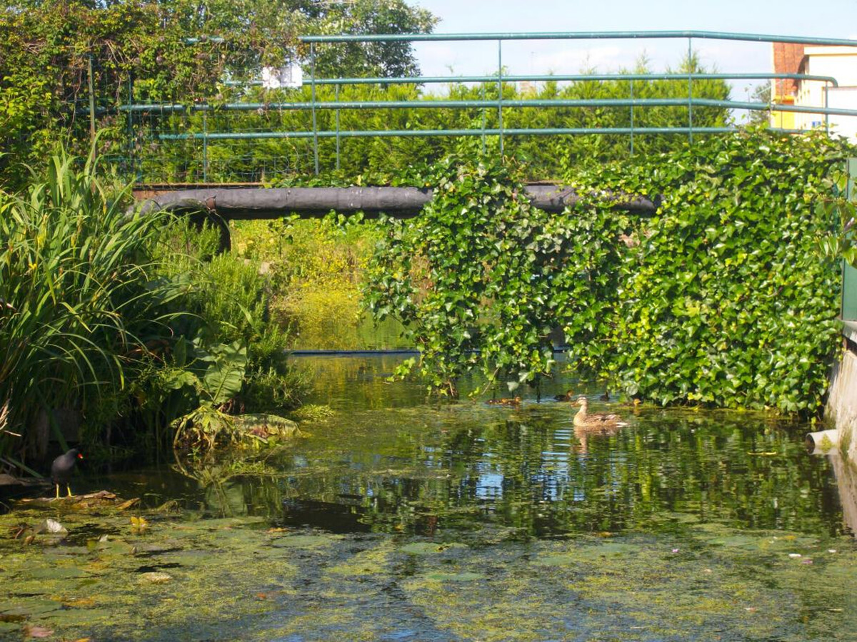 Gîte 7 pers. avec barque, jardin et accès handicapé - Photo 3