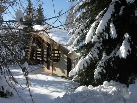 Chalet 10 pers. à Saint-Michel-de-Chaillol, jardin et cheminée : photo 15