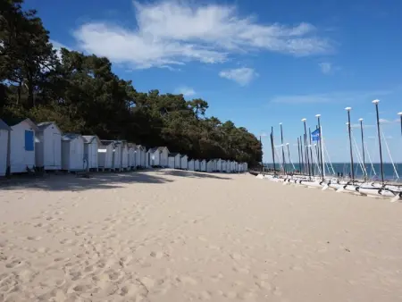 Maison 3 chambres Noirmoutier, plage à 250m, jardin clos : photo 15