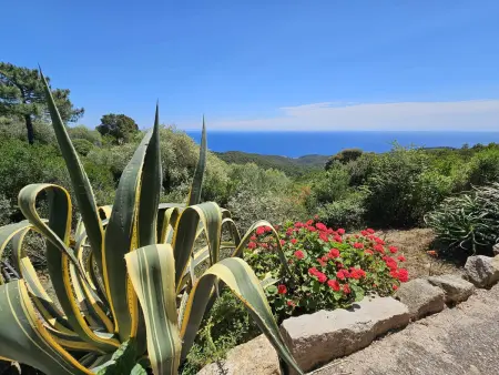Villa neuve spacieuse - Vue mer - Climatisation, Villa 4 personnes à Sari Solenzara Favone - Photo 21