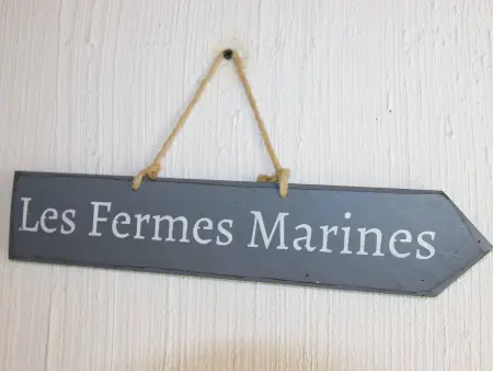 Maison 2 pièces avec mezzanine, piscine chauffée à Bretignolles-sur-Mer : photo 11