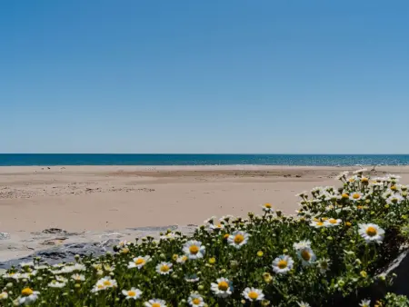 Villa climatisée 350m de la plage à Narbonne-Plage - Photo 8