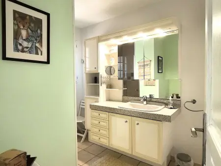 Villa à Orgnac-l'Aven avec piscine chauffée, 6 pers, jardin clôturé, animaux admis - Photo 17