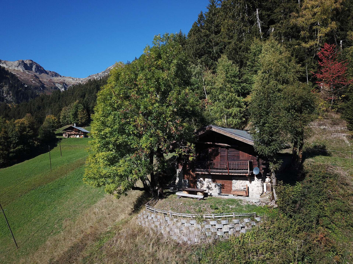 Chalet 4 pièces sud Arêches-Beaufort, 2 km pistes - Photo 4