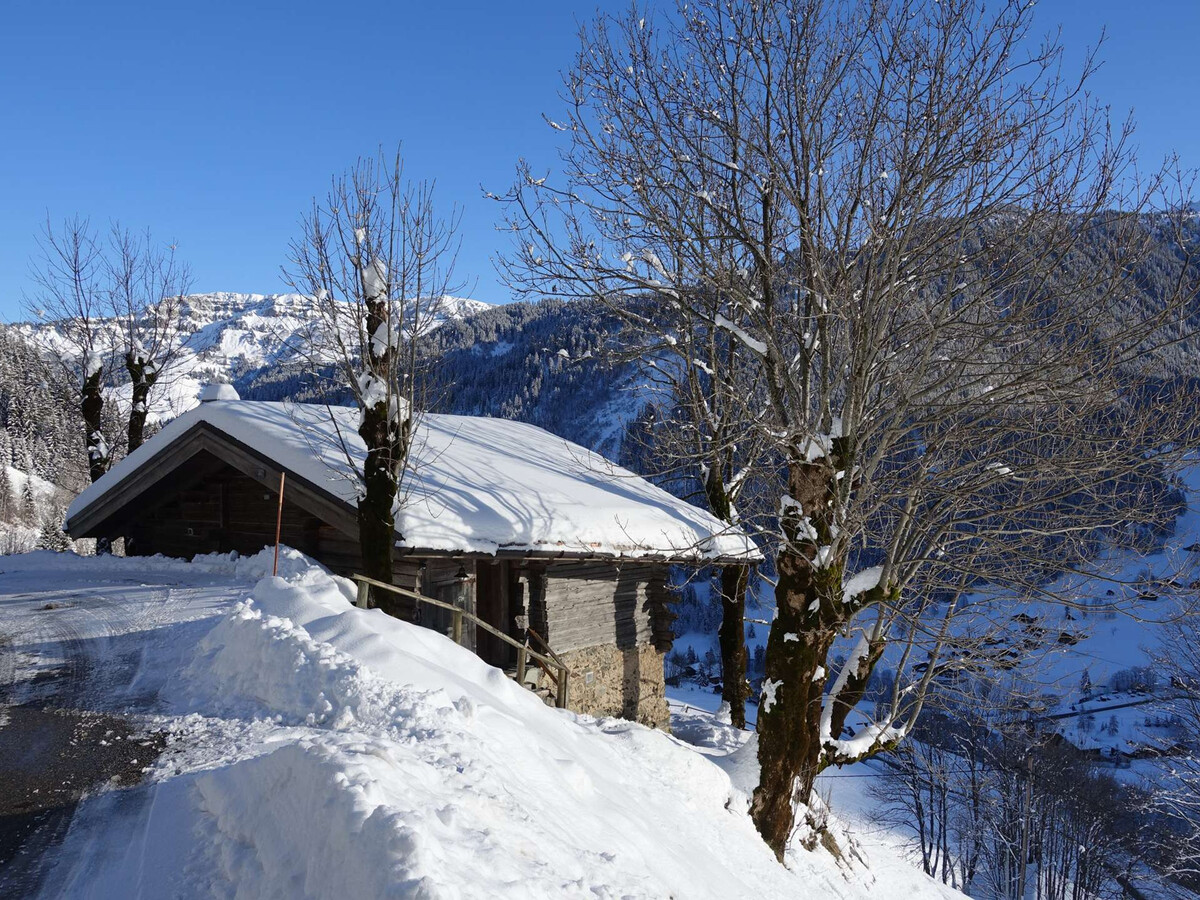 Chalet 4 pièces sud Arêches-Beaufort, 2 km pistes - Photo 8
