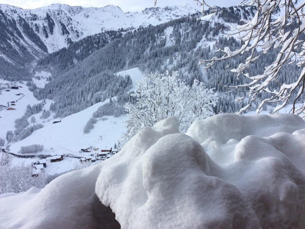 Chalet 4 pièces sud Arêches-Beaufort, 2 km pistes - Photo 15