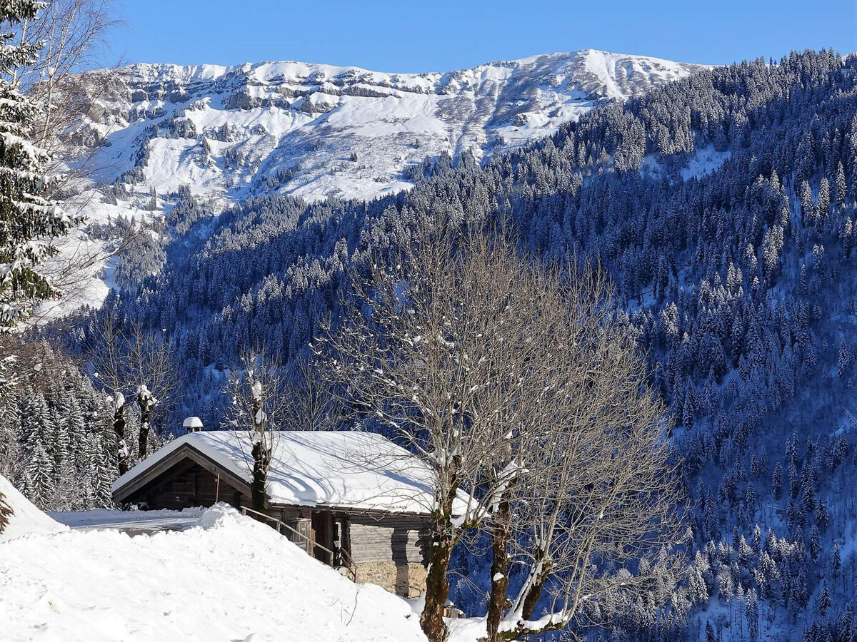 Chalet 4 pièces sud Arêches-Beaufort, 2 km pistes - Photo 16