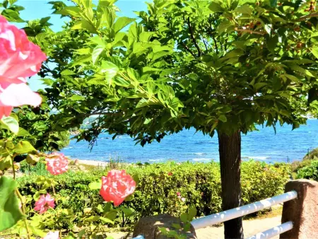 Location maison à Sari Solenzara Favone