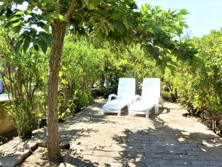 Mini-Villa Climatisée Pieds dans l'Eau - Sari-Solenzara : photo 3