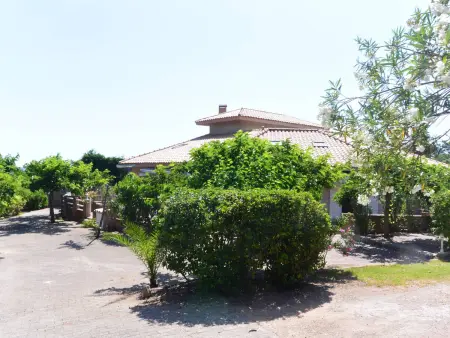 Mini-Villa Climatisée Pieds dans l'Eau - Sari-Solenzara : photo 10