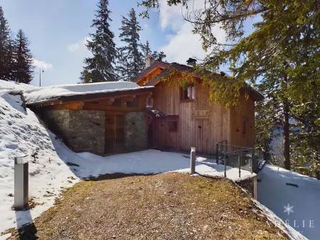 Chalet 5* 350 m² avec hammam pour 14-16 pers. à La Rosière : photo 19