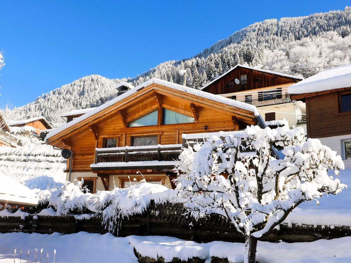 Chalet 8 pers, récent à Arêches-Beaufort, terrasse herbeuse - Photo 8