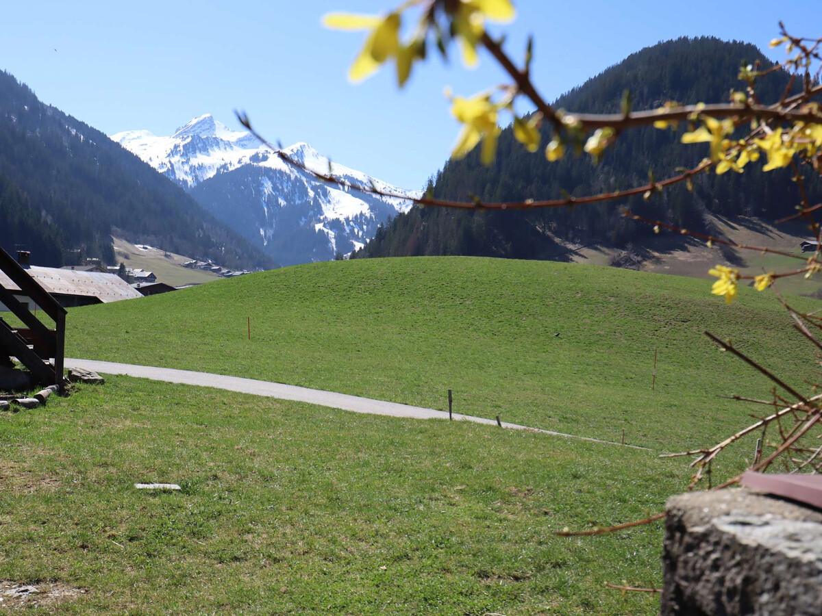 Chalet 8 pers, récent à Arêches-Beaufort, terrasse herbeuse - Photo 14