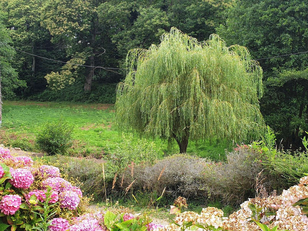 Maison pierre rénovée, jardin, 3 vélos – 400m de la mer - Photo 21