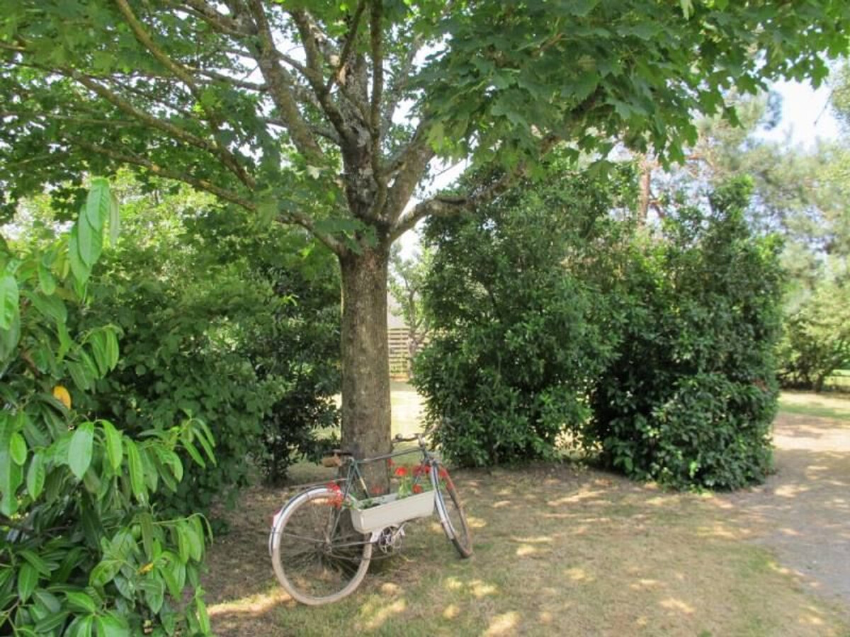 Gîte campagne 4 pers. avec jardin clos et jeux à Moisdon - Photo 10