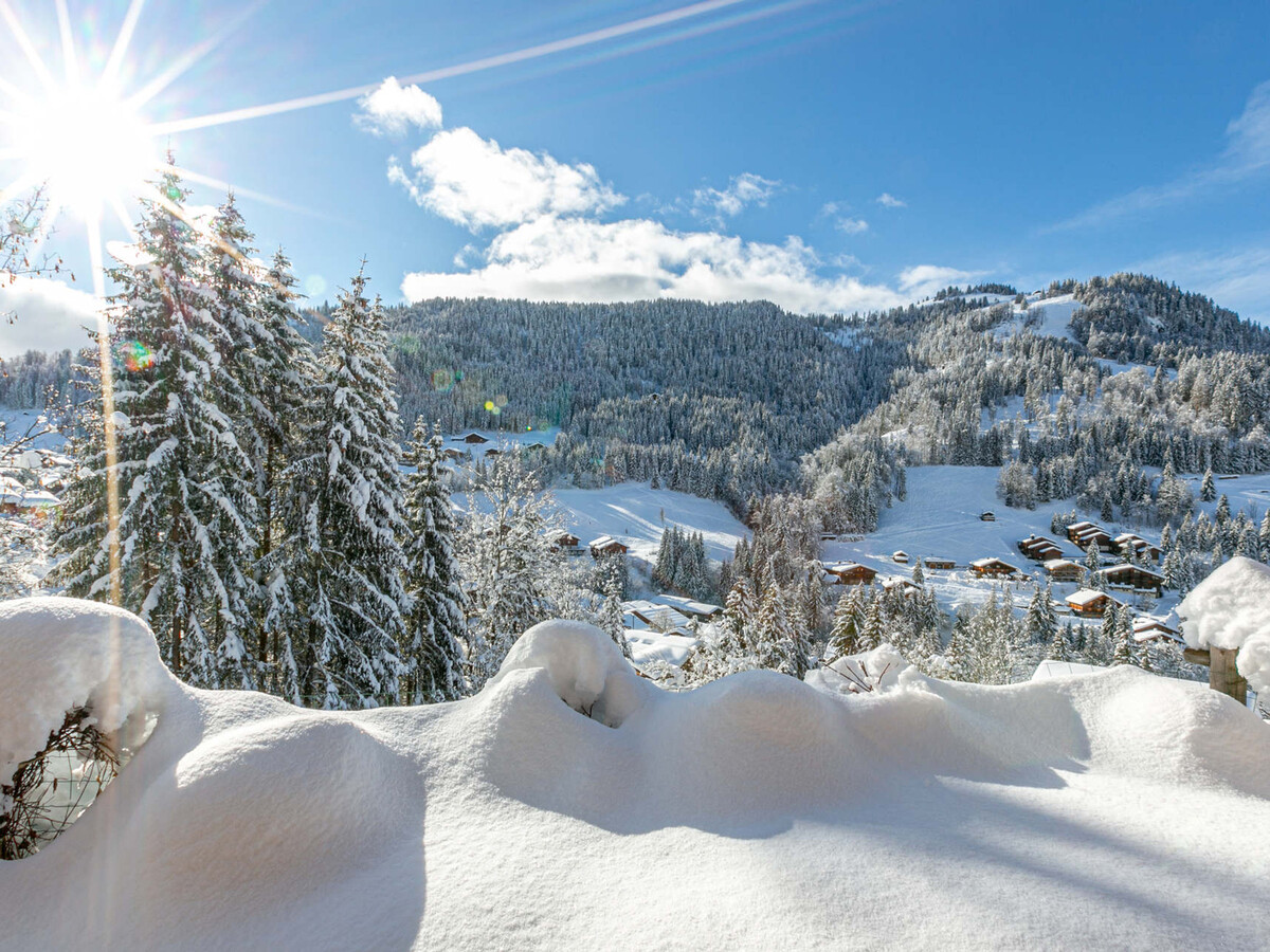 Chalet 13 pers. La Clusaz - Sauna bulle & garage - Photo 11