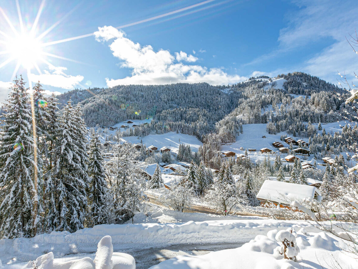 Chalet 13 pers. La Clusaz - Sauna bulle & garage - Photo 21