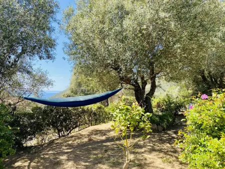 Villa 8 pers. Olmeto avec piscine privée et vue mer : photo 18
