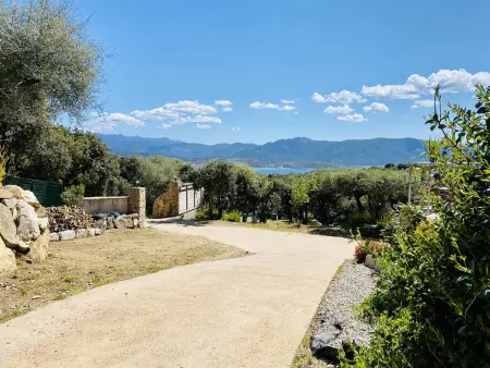 Villa 8 pers. Olmeto avec piscine privée et vue mer : photo 23