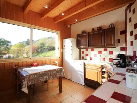 Chalet La Fougère 8 pers., terrain, vue Sancy : photo 3