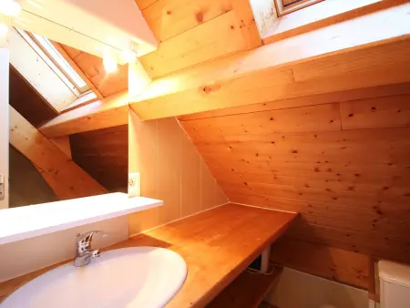 Chalet La Fougère 8 pers., terrain, vue Sancy : photo 13