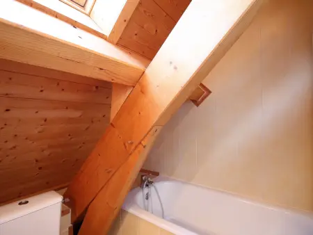 Chalet La Fougère 8 pers., terrain, vue Sancy : photo 14
