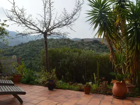 Maison 3 pièces avec jardin, BBQ, animaux admis à Banyuls-sur-Mer - Photo 3