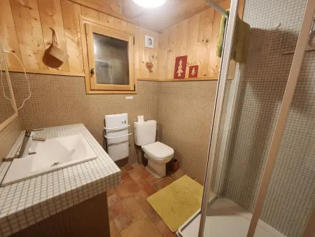 Chalet atypique 10 pers à Samoëns, terrasse et jardin : photo 8