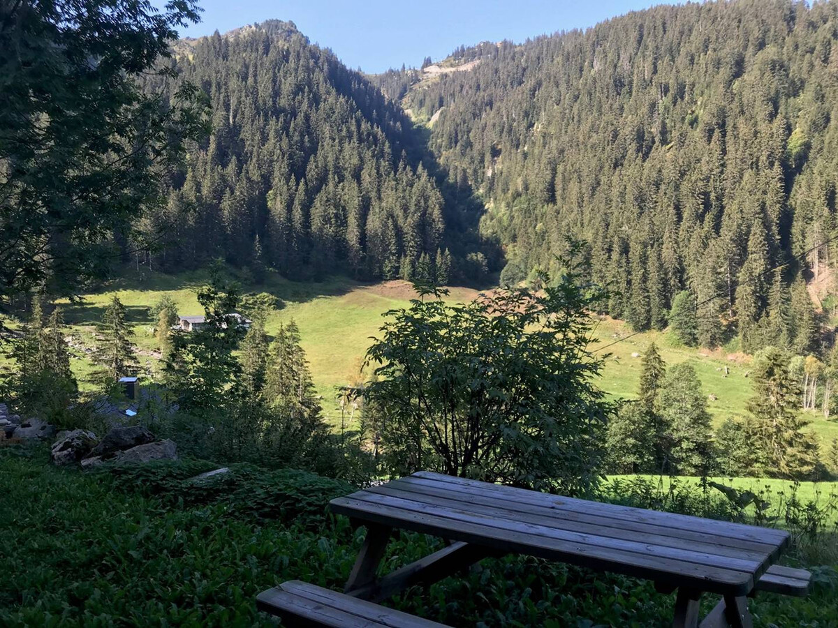 Chalet 14 pers. à Arêches-Beaufort, studio indépendant et cheminée - Photo 7
