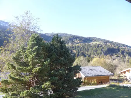 Chalet atypique pour 8 pers, animaux admis, parking - Photo 13