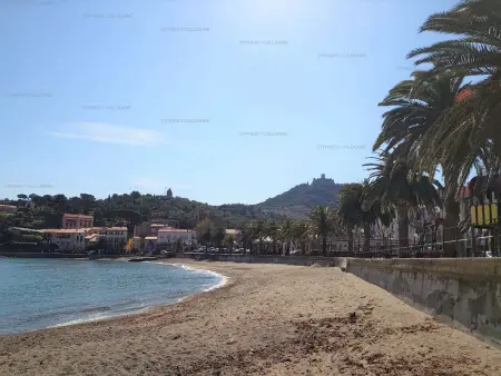 Maison de Pêcheur à 50m de la Plage avec WIFI, Terrasse et Cuisine Équipée - Photo 16