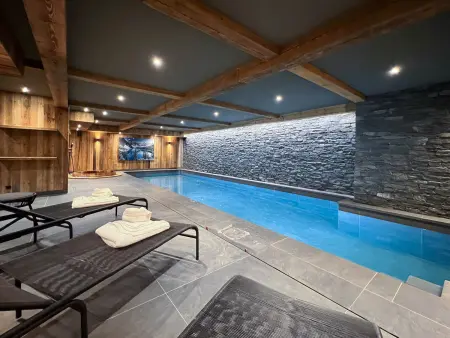 Chalet luxe 467m² piscine, sauna, cinéma aux Belleville - Photo 1