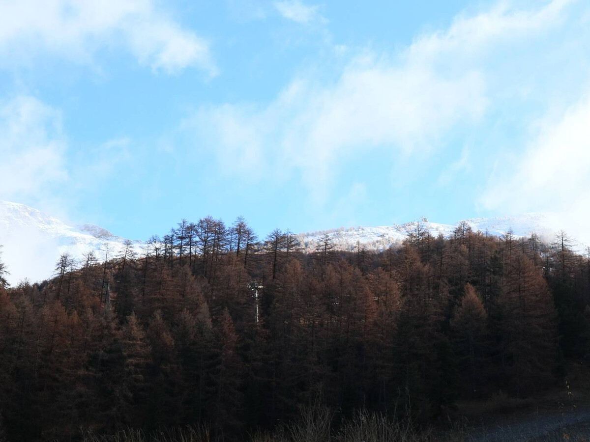 Chalet 10 pers aux Orres - Piscine, sauna, hammam, skis aux pieds - Photo 12