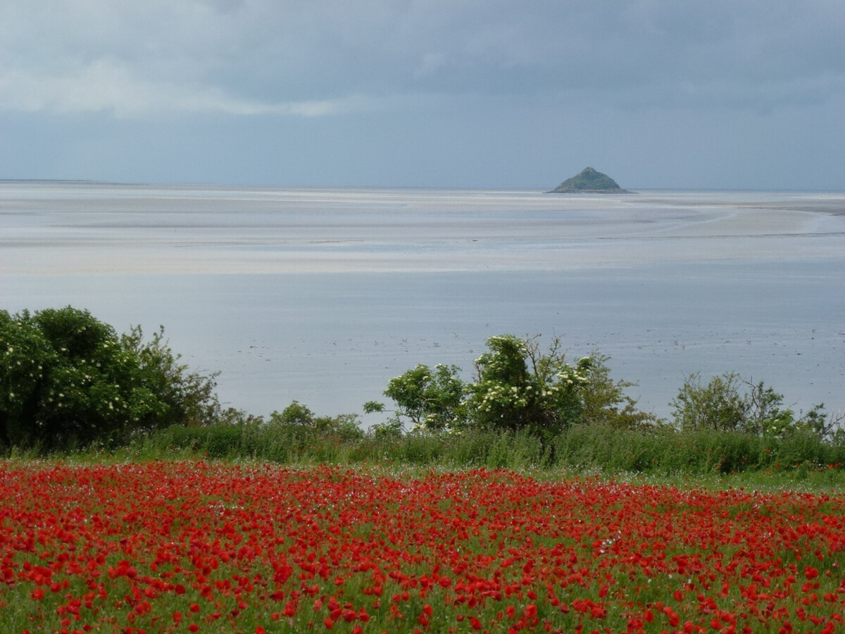 Gîte 2 pers. terrasse Ouest, Mont St-Michel - Photo 14