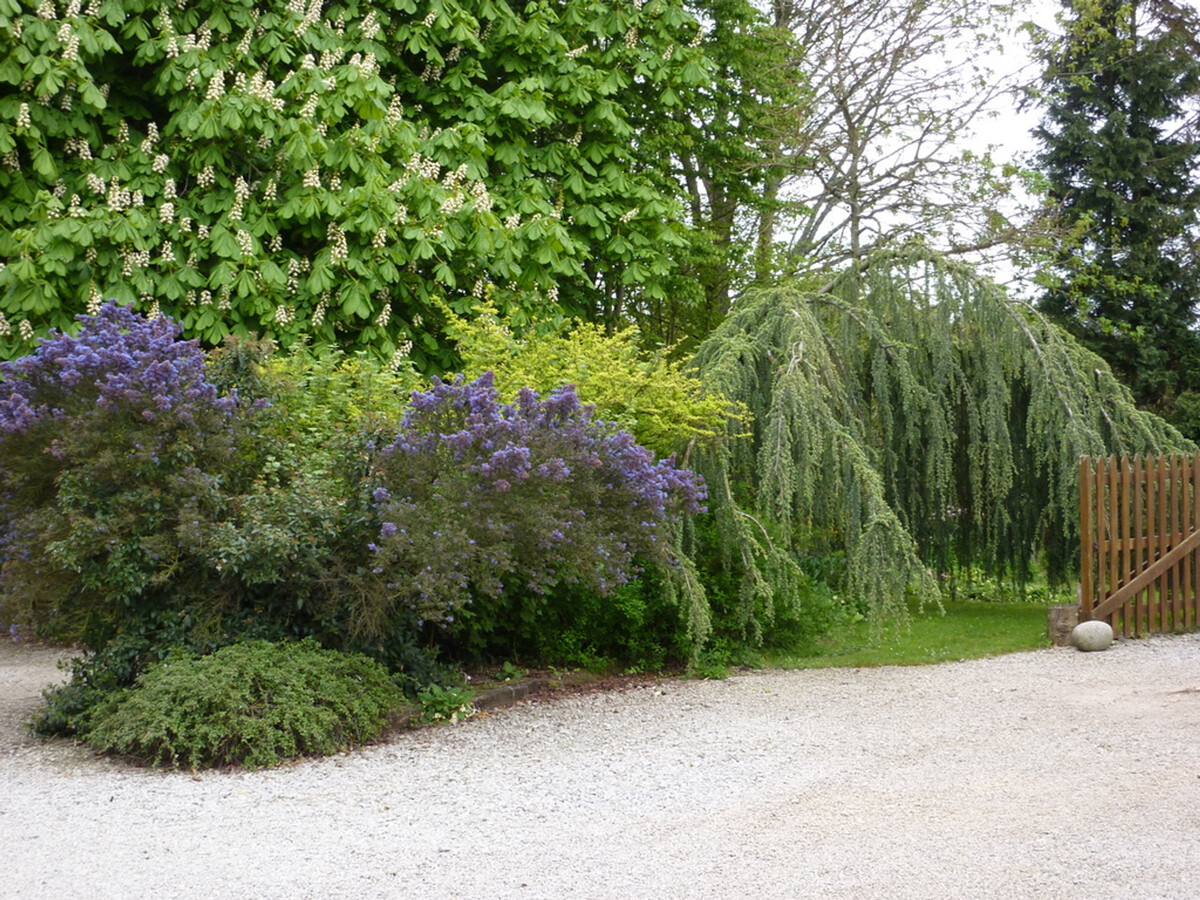 Maison indépendante 6 pers. à Couville, cheminée et jardin clos - Photo 16